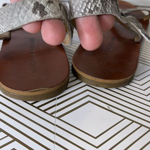 Lucky Brand Strappy Sandals Womens Sz 8.5 Snake Print Flat Buckle - Picture 5 of 10